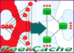 PeerCache Logo